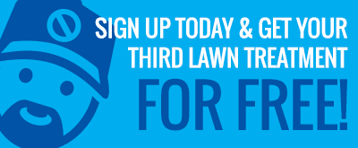 Consolidated Pest Control Lawn Treatment