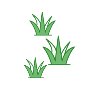 Three green grass tufts or plants in varying sizes arranged diagonally